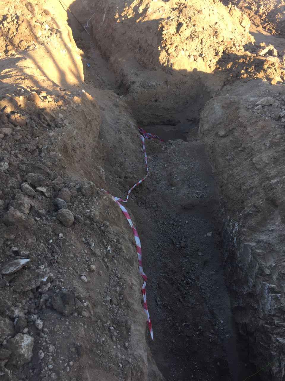 Project Photo 14