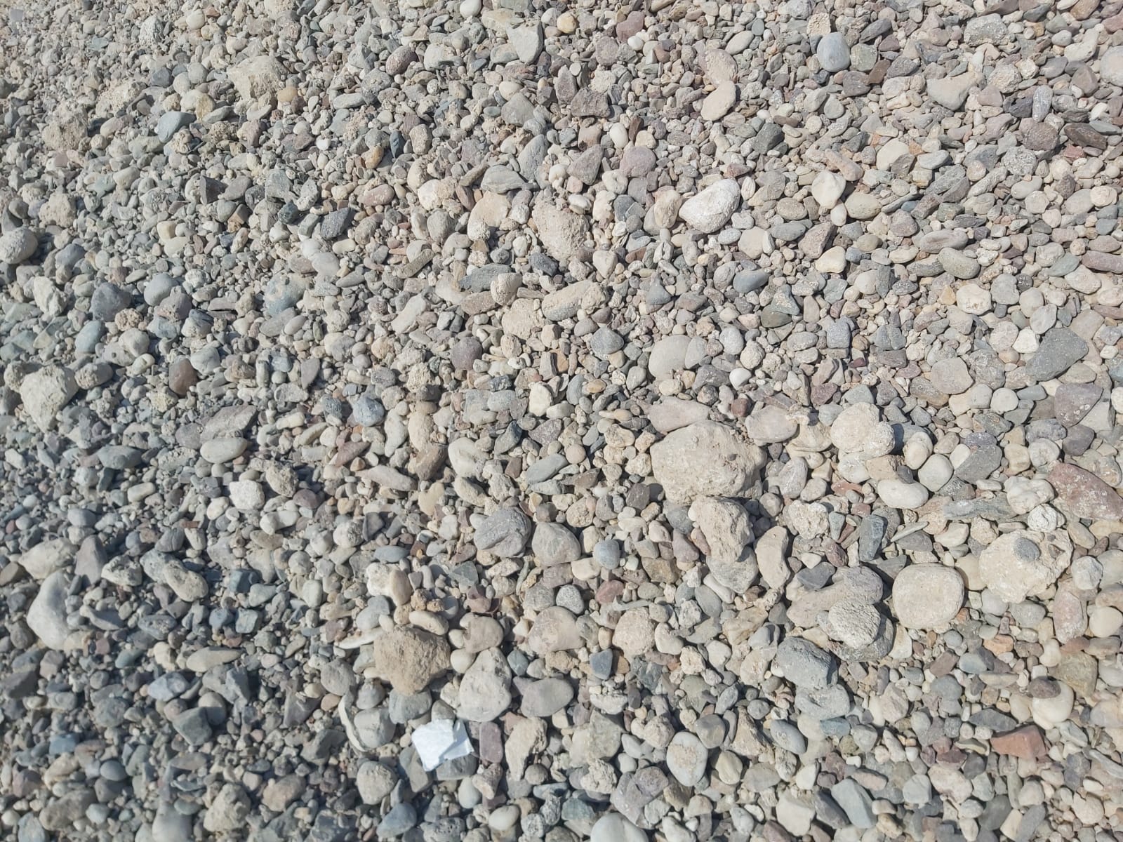 Project Photo 9